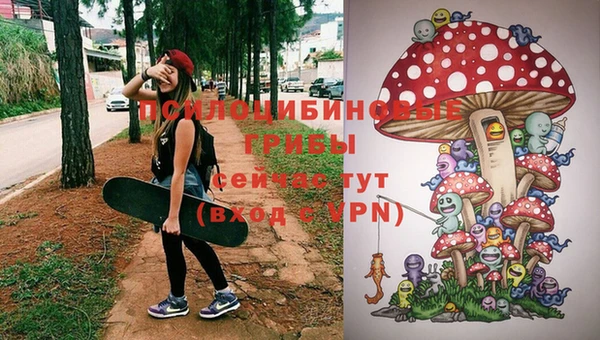 ALPHA PVP Верея